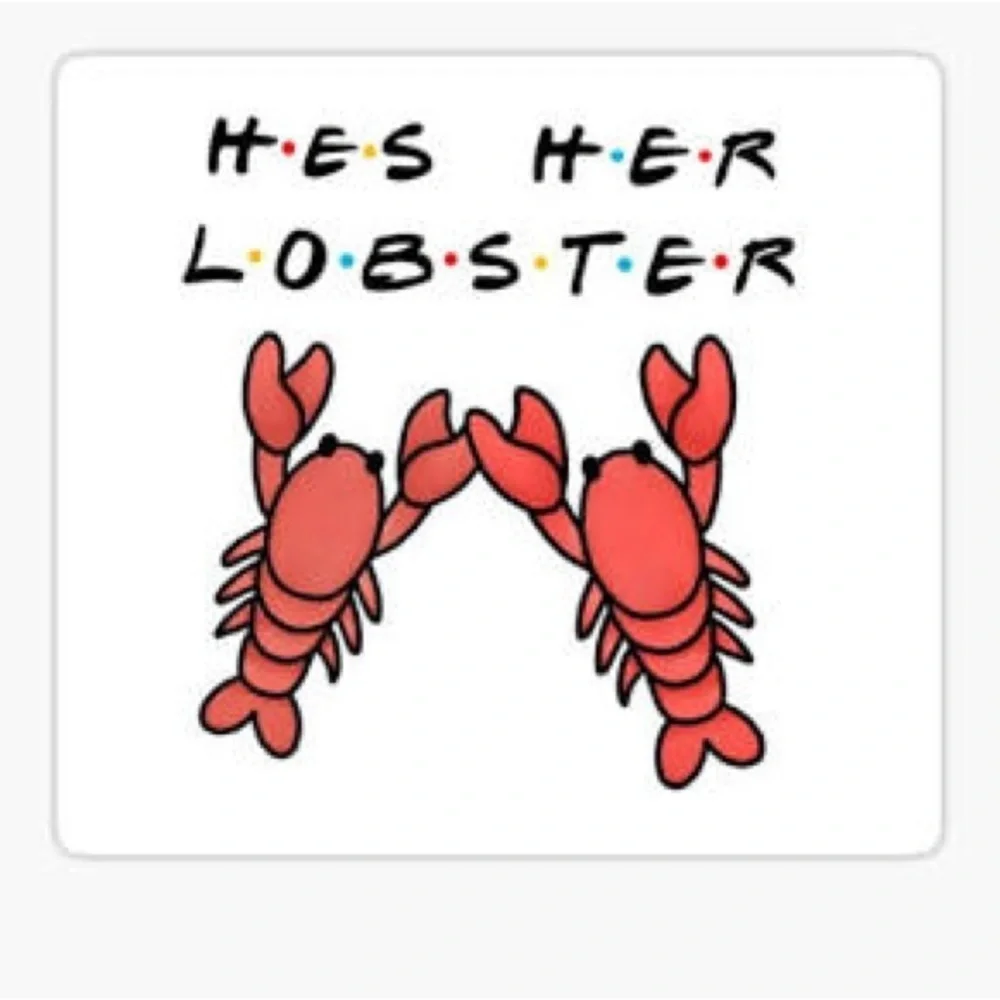 Lobster Lumbar Nap Pillow 8x16 Full Zipper Organic Cotton Handcrafted UPwork NEW